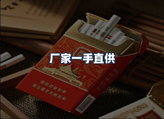 专业团队办公环境